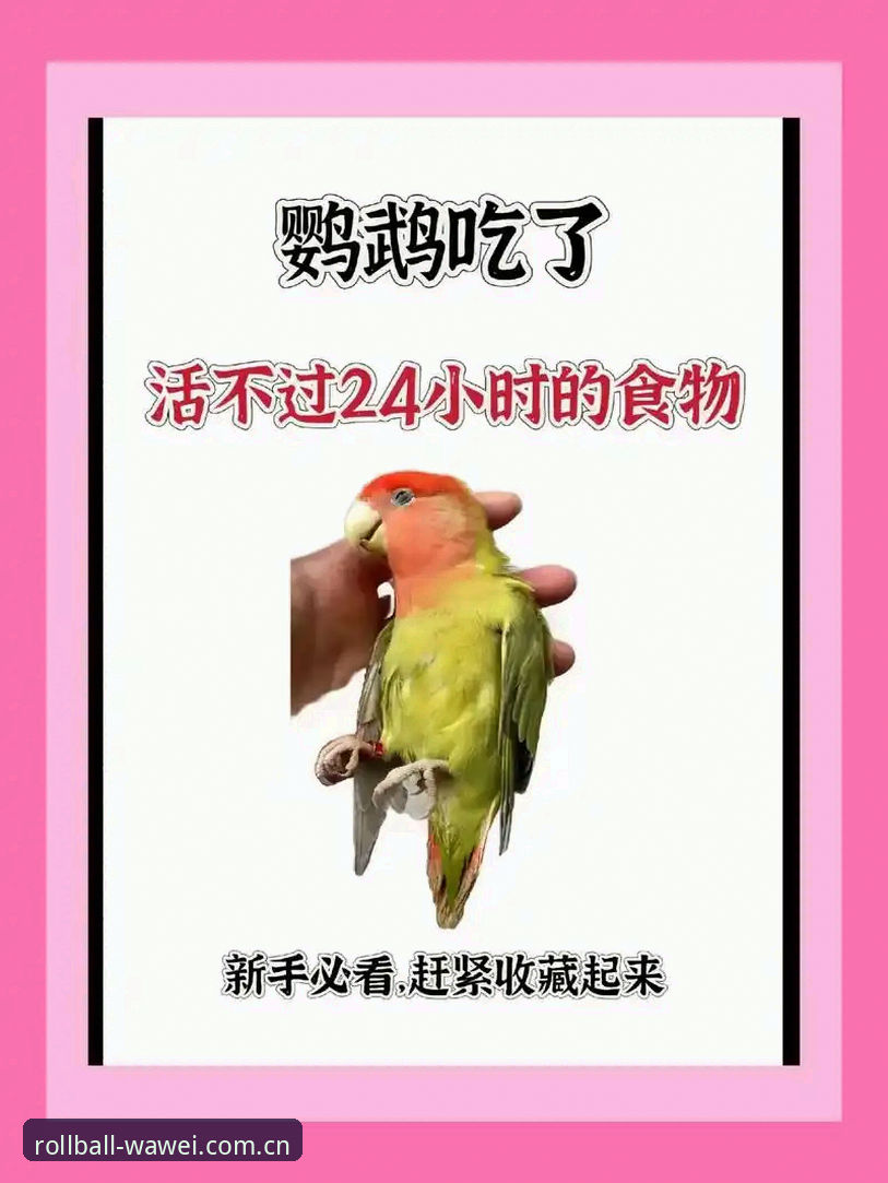 新手必看：外围滚球平台CN下载入口的正确打开姿势与实战心得